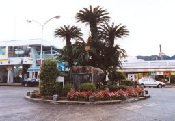 �����t�v��