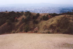 �R������̒���