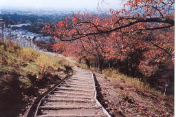 �ᑐ�R������