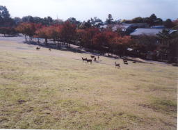 �O���͏t�����