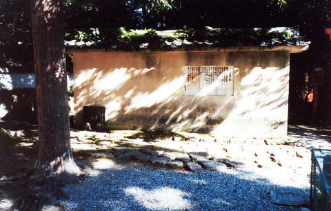 �����t�v����