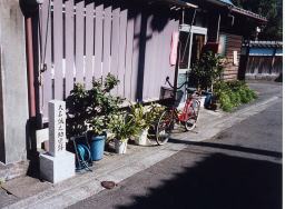 ��ΐ��V��������