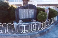 ���ۂ��ۂ̔�